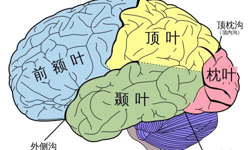 肾病住院一般住几天-什么病需要住院一个月并要女性家属陪护-什么病需要住院一个月呢,中国什么病需要住院一个月网站